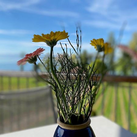 Appartementhotel Roehrenbach Immenstaad am Bodensee Eksteriør bilde