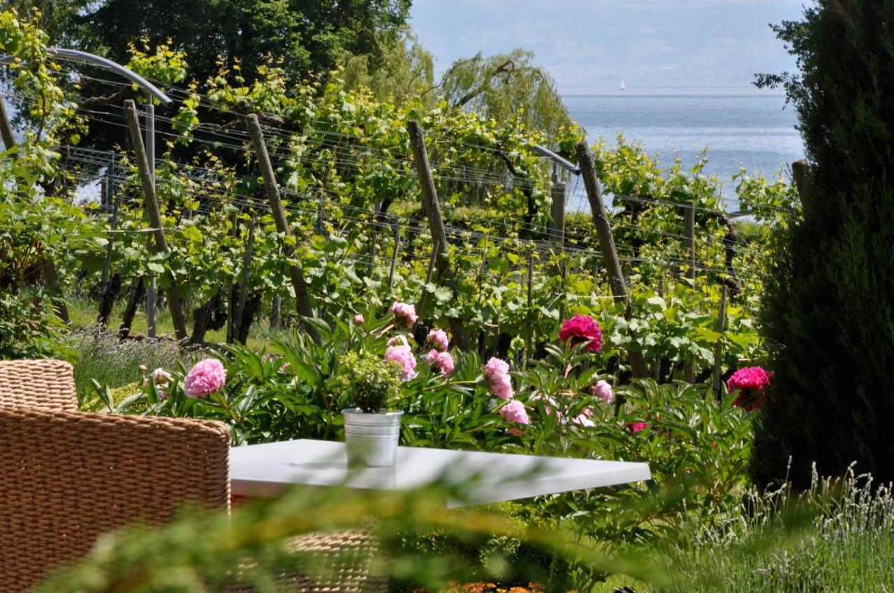 Appartementhotel Roehrenbach Immenstaad am Bodensee Eksteriør bilde