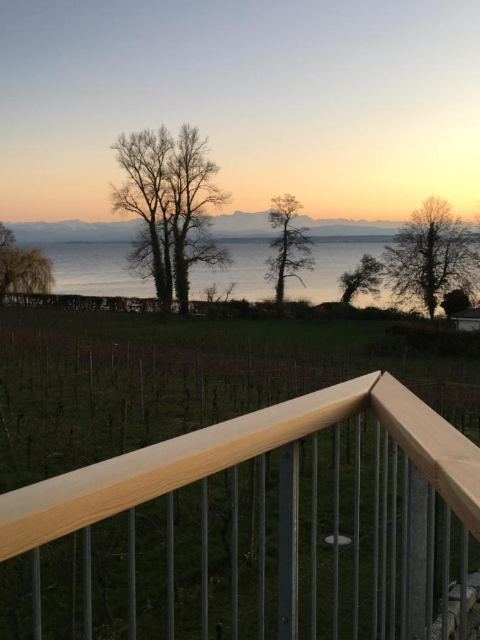 Appartementhotel Roehrenbach Immenstaad am Bodensee Eksteriør bilde