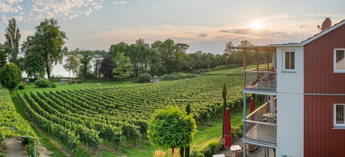 Appartementhotel Roehrenbach Immenstaad am Bodensee Eksteriør bilde