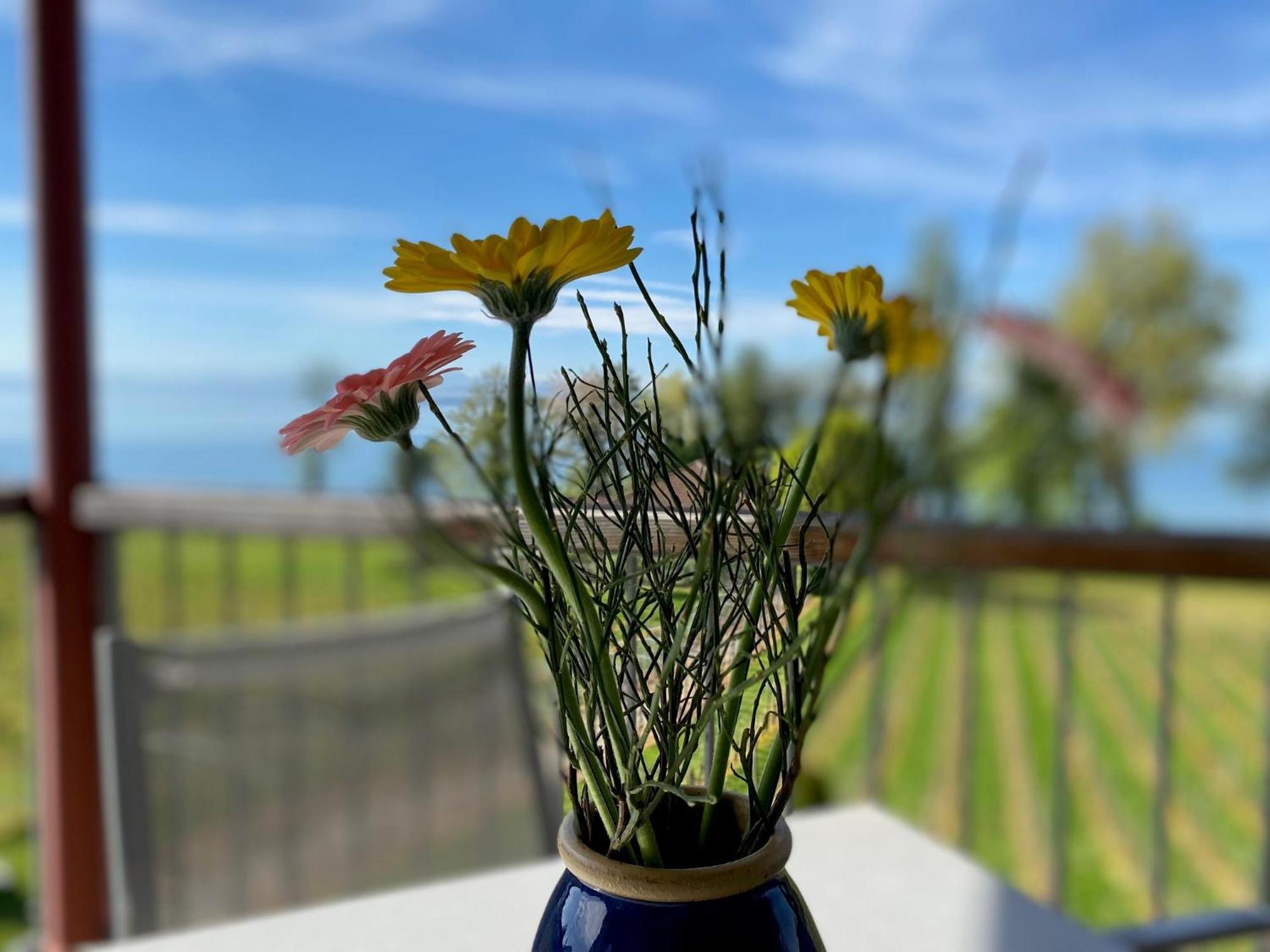 Appartementhotel Roehrenbach Immenstaad am Bodensee Eksteriør bilde